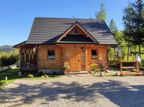 Borowikowe Zacisze drewniane domy z dostępem do balii i sauny Falsztyn
